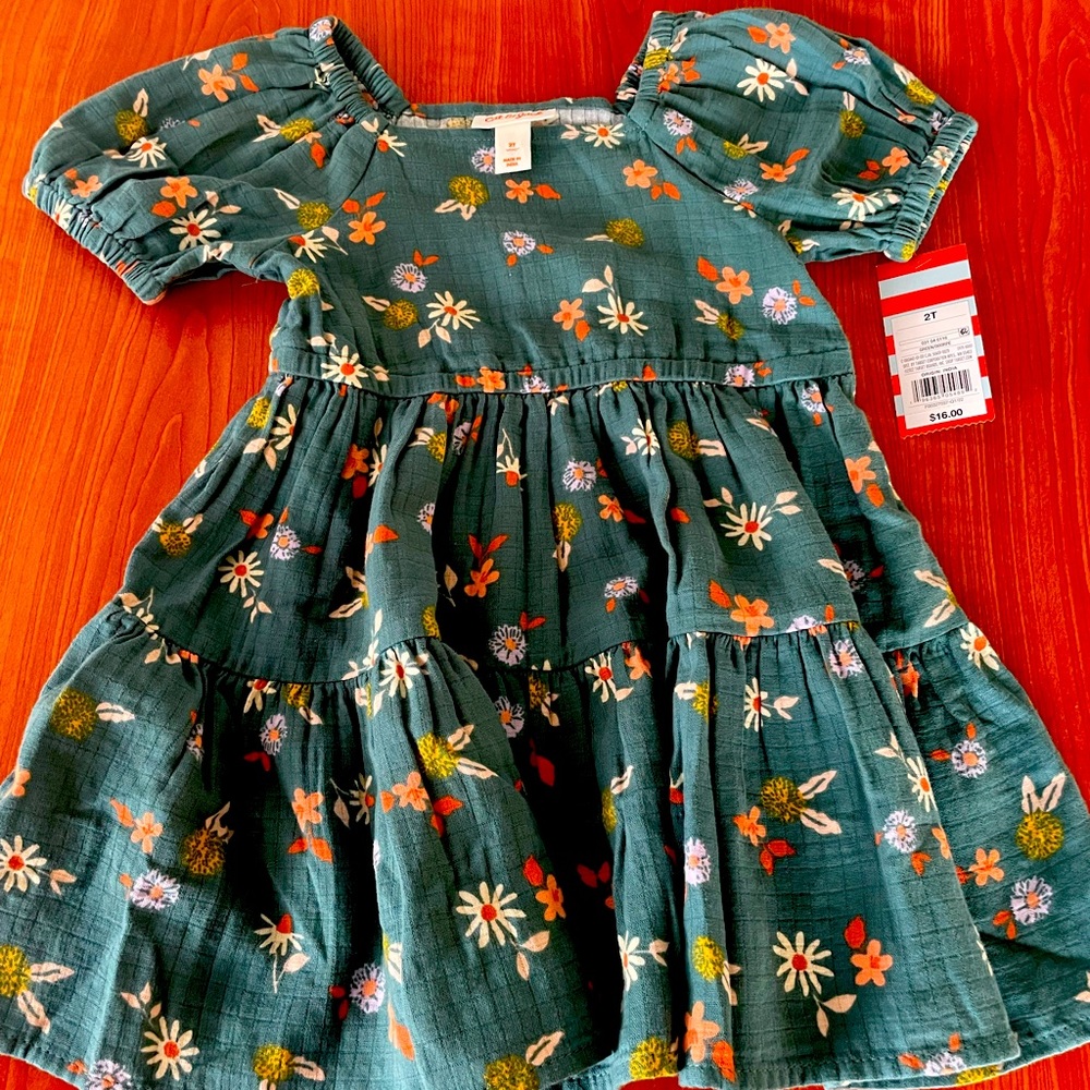 Cat & Jack 2T Toddler Dress